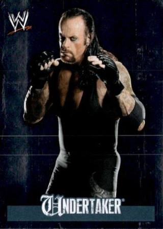 Undertaker – WWE Rivals, n. 214