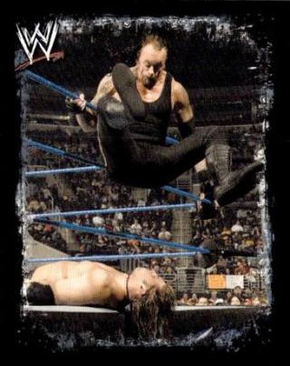 Undertaker – WWE Rivals, n. 215