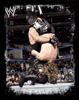 Undertaker – WWE Rivals, n. 216