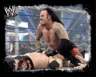 Undertaker – WWE Rivals, n. 221