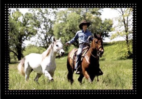 Sticker 49 – Hannah Montana – O Filme, n.º 49