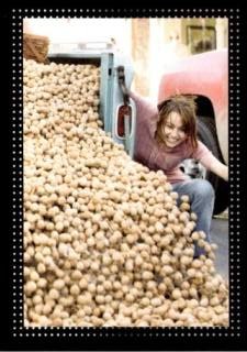 Sticker 84 – Hannah Montana – O Filme, n.º 84