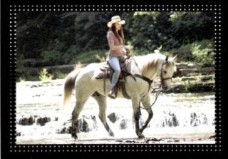Sticker 102 – Hannah Montana - Der Film, Nr. 102