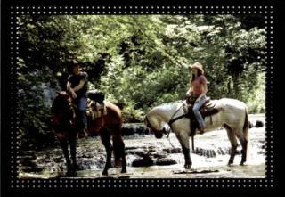 Sticker 104 – Hannah Montana - Der Film, Nr. 104