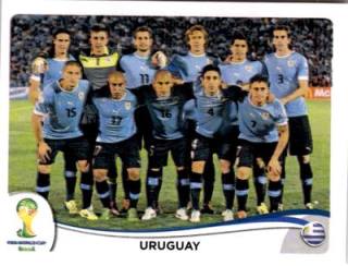 Team – FIFA World Cup 2014 Brazil, n. 261