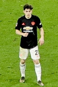 Daniel James (futbolcu)