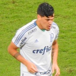 Gustavo Gómez Portillo