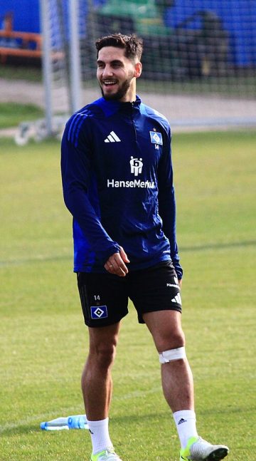 Ludovit Reis