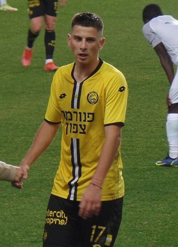 Zlatan Šehović